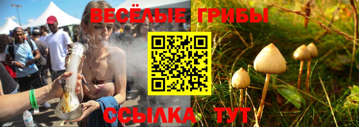 Галлюциногенные грибы GOLDEN TEACHER Мирный